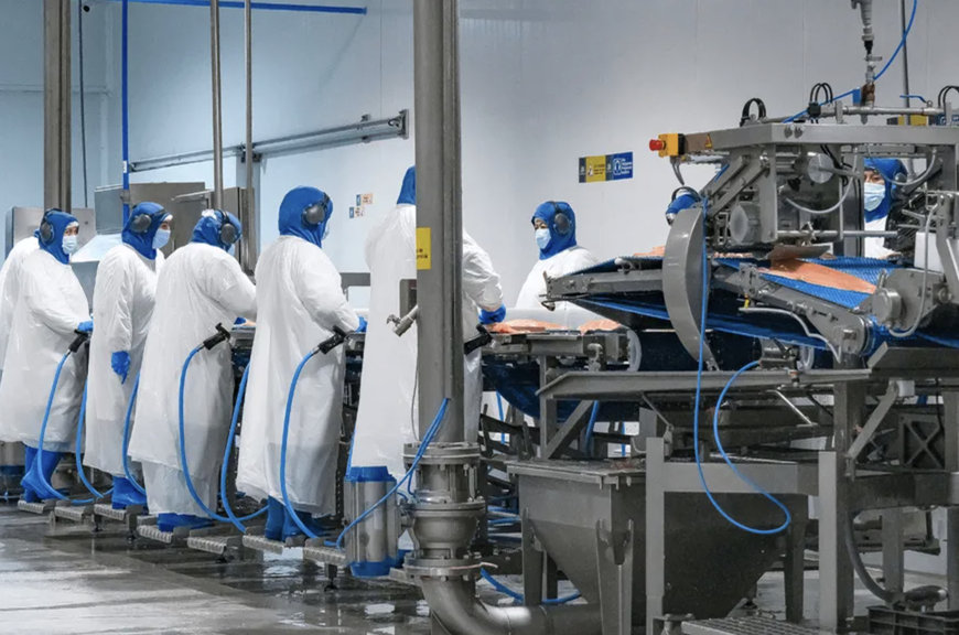 ALVAREZ Y ALVAREZ: PIONEERING SALMON PROCESSING IN CHILEAN PATAGONIA